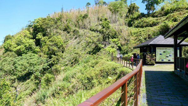 二延平步道。貿易戰2764946