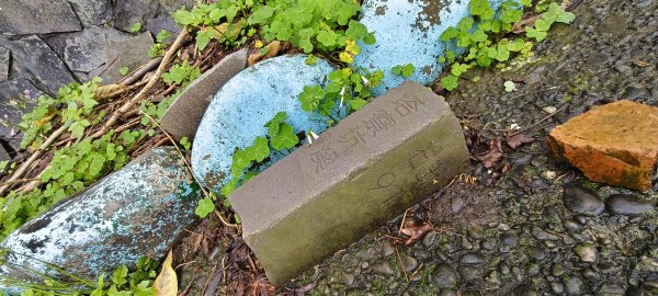 2026/03/01-紅淡山步道3010081