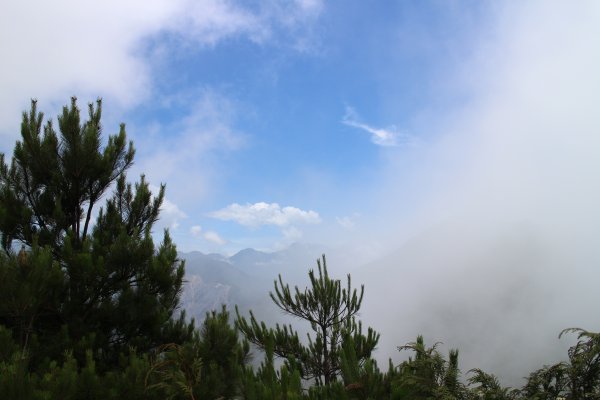 觀霧雲霧步道 20150619684885