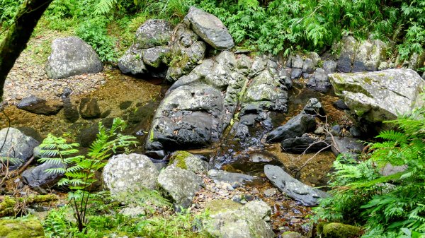 桶後越嶺古道2876813