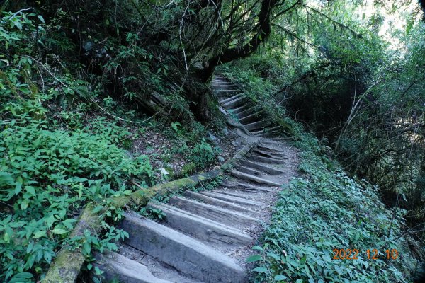 高雄 桃源 庫哈諾辛山1947286