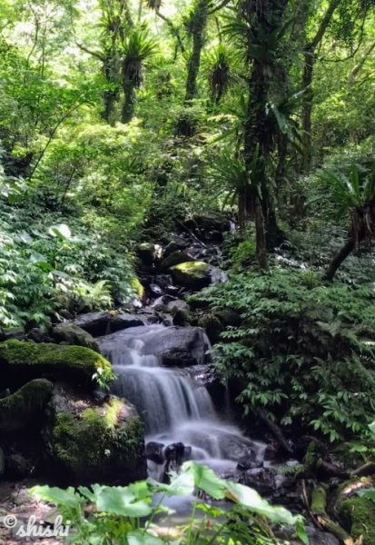 ●玩水●獼猴●賞蝶「聖母山莊步道」630406