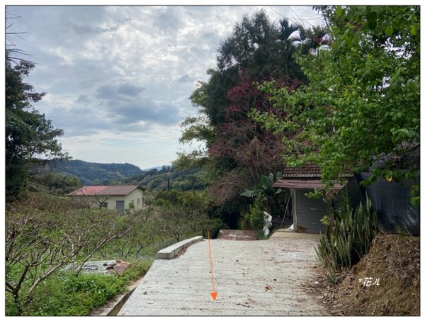 大堀底山 (穿霧隘勇線)3023659