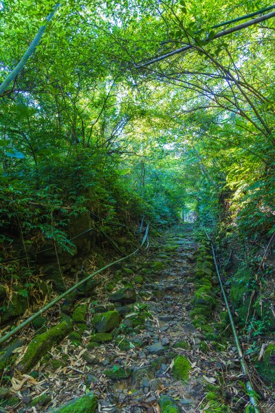 [新北]白雞山與裕峰煤礦遺址2891855