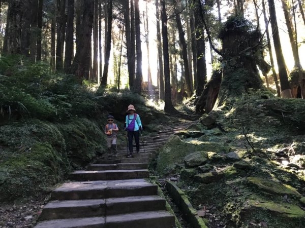阿里山雙峰大塔山對高岳連走451406
