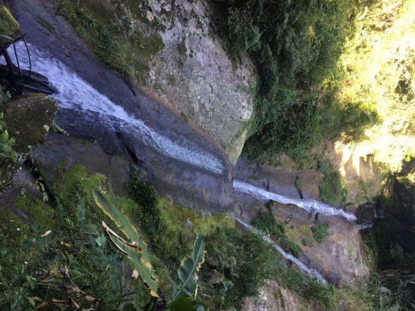北得拉曼神木步道、內鳥嘴山、山毛櫸、瀑布2348721
