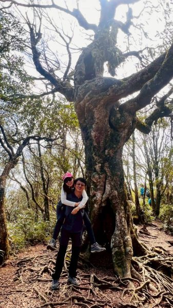 🌈3/15（日）北得拉曼神木+內鳥嘴山✨FB：熊熊趴爬走🌈3016829