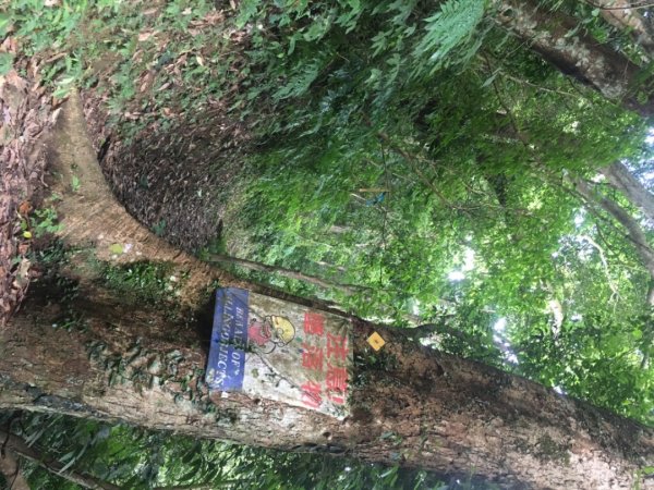 石大佛（石門山、大竹坑、佛陀世界2528051