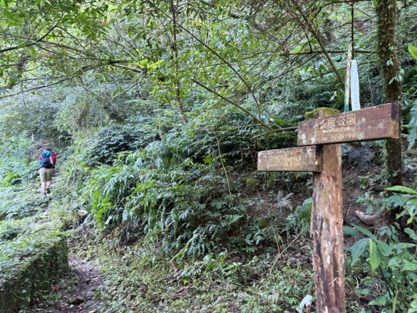 坪林五山縱走 ：九芎根山、金紙崙山、鳥嘴尖山、倒稍楠山、紀州寮山O形2745283