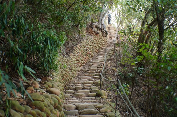 苗栗 三義 火炎山、南火炎山3020879