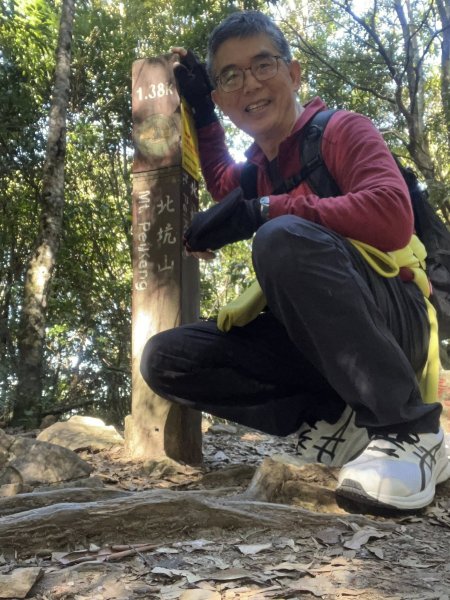 雪見大板根2959278