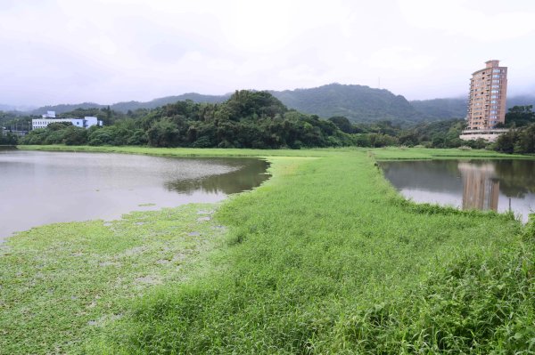 20251202松山療養所所長宿舍-新庄仔埤賞鳥平台-松山二坑-松山煤礦-松山機場觀景台2952806