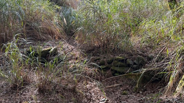 秀林塔次基里溪古關原