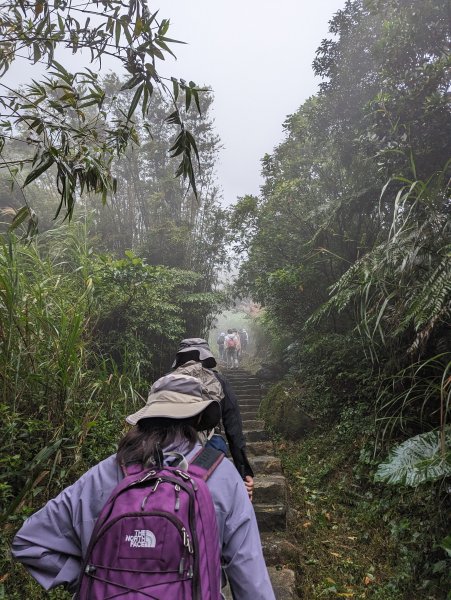 2023-10-22 臺北大縱走第四段2792944