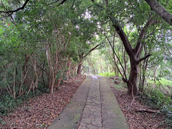 2026森遊竹縣：寶山迴龍步道，環湖步道3107254