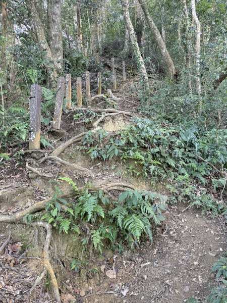 20251221嘉南雲峰、石壁山登山步道2968093