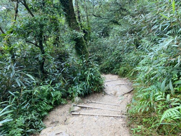 步道巡訪員 l 109年10月份聖母山莊步道巡訪1155772