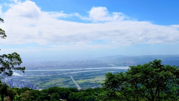 向天蝦不蝦2936800