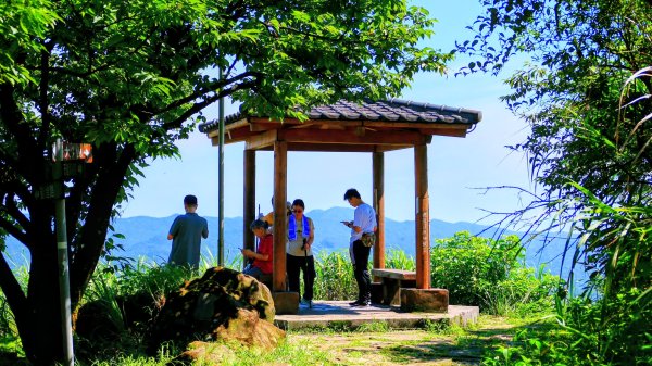 遠眺圓山飯店3076277