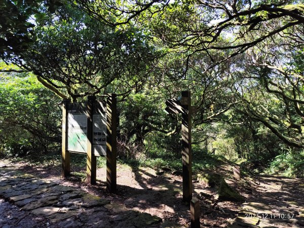 【臺北大縱走 2】【第二回合全程完成證書】鞍部→大屯山步道→大屯山主峰→大屯坪步道→二子坪步道2960397