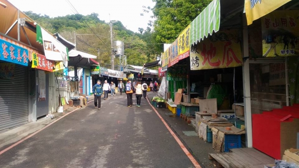 台中大坑9號步道上，10號下山261118