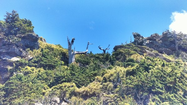 20250825_南玉山2880492