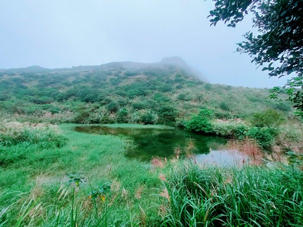 南子吝山、劍龍稜、鋸齒稜、半屏山、茶壺山（黃金7、5、6、3、2、4稜）1908117