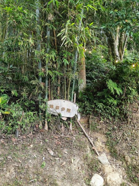 九讚頭車站-大崎棟.茶亭.逃學.騎龍古道20幾K繞大O2972528