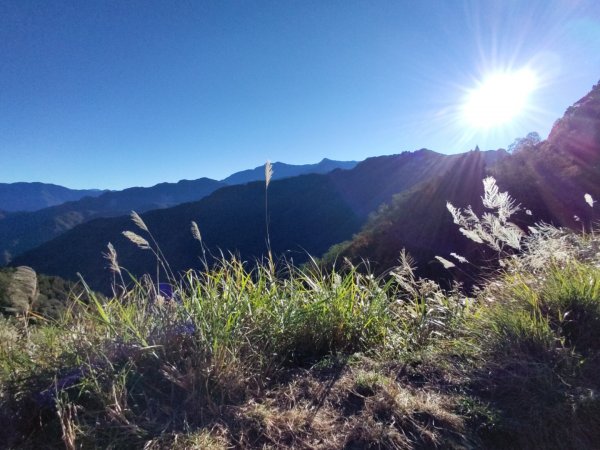 20211216自忠山經東水山至北霞山下特富野古道O型繞1553195