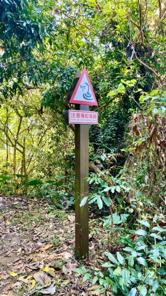 龍麟山登山步道2730754