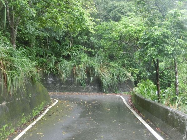 千島湖．八卦茶園．永安景觀步道162692