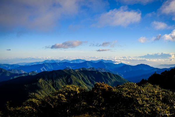 [冬訪大霸聖山岳參行]-榮耀桂冠B'bu' Papak聖稜精選輯2974758