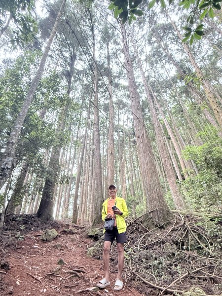 又來老地方避暑，順走小雪防火巷秘境  2026.7.1-23081438