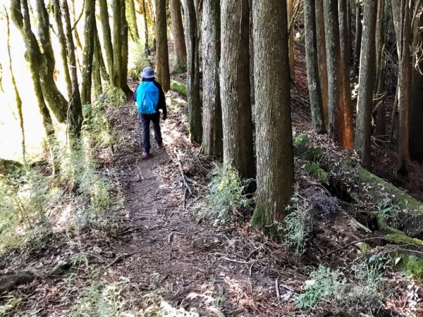 自忠上東水山連走特富野古道1244574