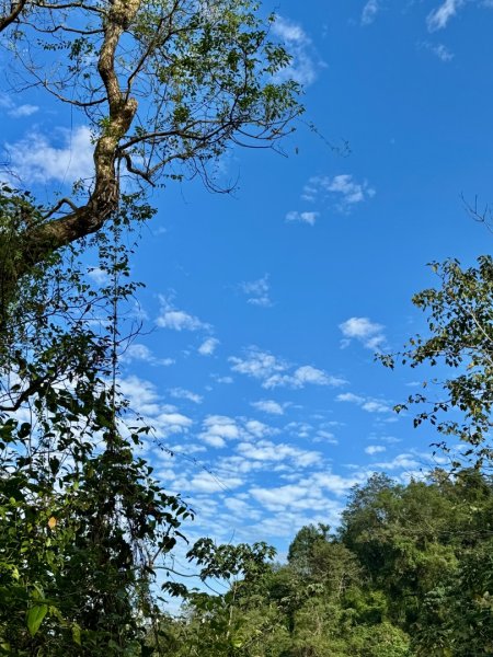 生態環境豐富的仁山植物園 感受鑑湖秋月-梅花湖的魅力2953842