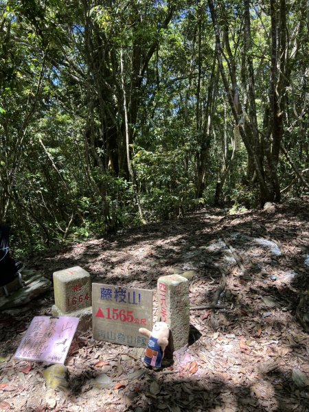 藤枝山3061247