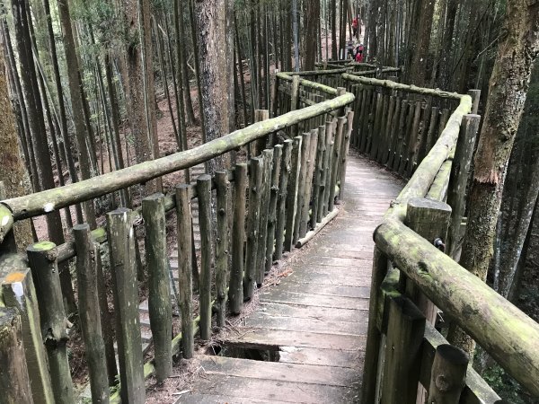 110年4月25日雲林  雲嶺之丘 五元二角 木馬古道1456520