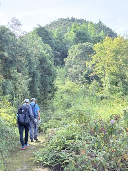 埔里登蜈蚣崙山、板仔寮山 2025.6.182815492