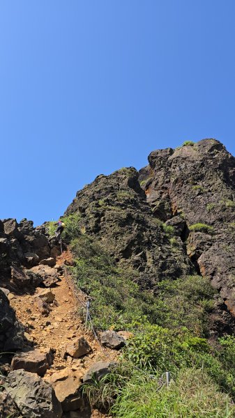 20260426 新北金瓜石半屏山無耳茶壺山3050537