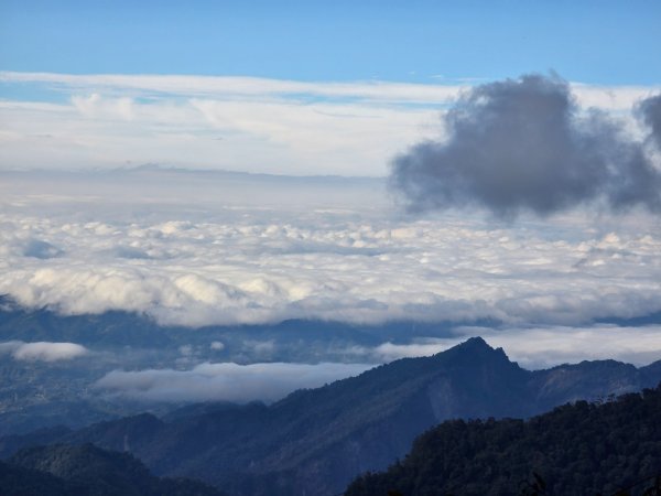 大雪山國家森林遊樂區賞楓／看神木／賞雪白山頭／賞大景2974317