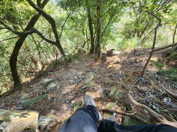 20241013東南稜上東卯山2671001