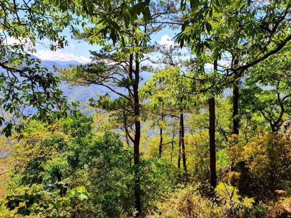 【中級山】谷關七雄東卯山2740987
