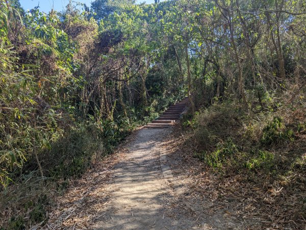 漯底山自然公園1964978