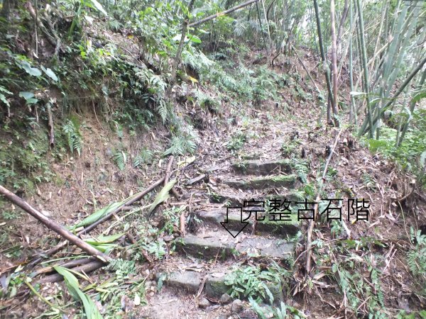 百二階古道+苕谷瀑布+逸仙山+泰和樓2734427