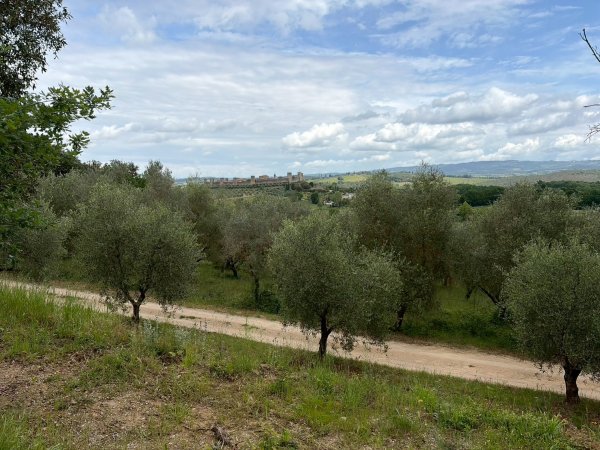 Via Francigena D3: monteriggioni-siena3072808