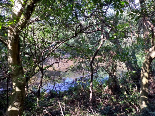 五酒桶山步道759887