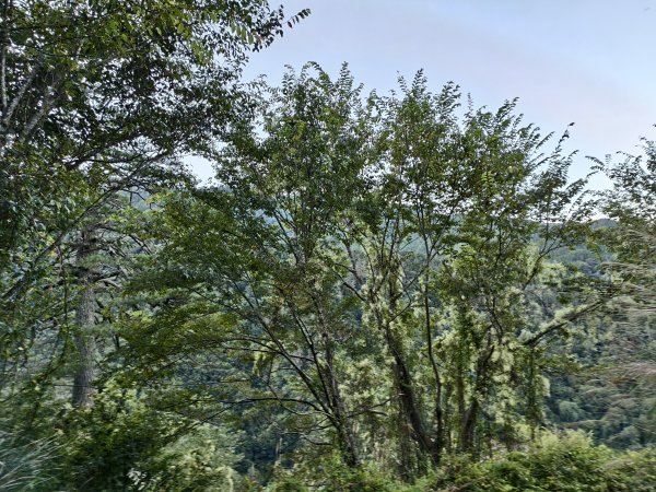 北一段(01/14)勝光山 2025_0906~132885042