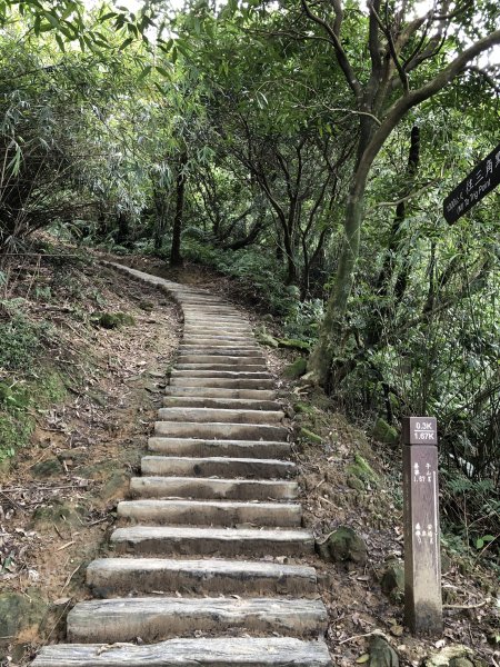 台灣小百岳No.011姜子寮山908416