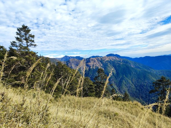 單攻志佳陽2725315