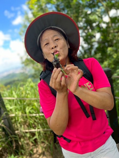 大坑1號和2號步道2826392